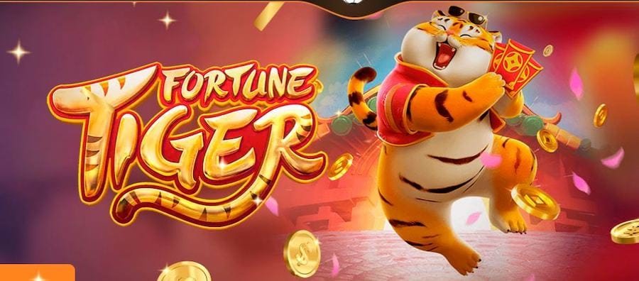 Permainan kasino live dengan dealer profesional yang interaktif di disko69 live casino
